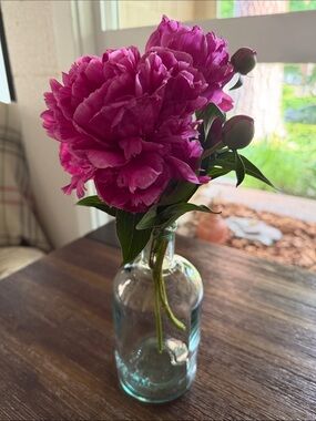 Clear Glass Bottle Vase - Home Accents 675 ml